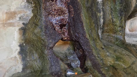 inclinación hacia abajo de la pared rocosa de piedra húmeda hacia el agua que se recoge en la botella en la base