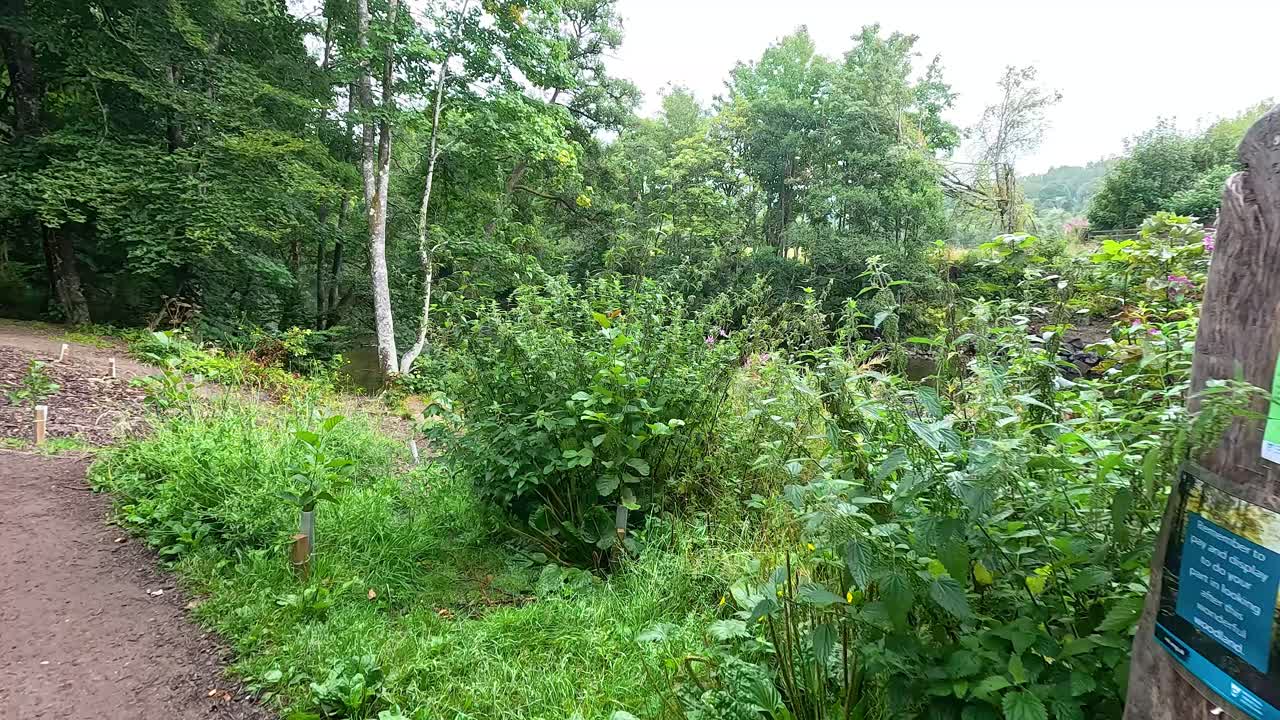sendero que conduce a un puente de piedra en la naturaleza