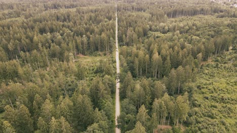 a straight hiking trail through the forest
