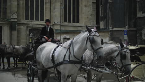 horse-drawn carriage in european city