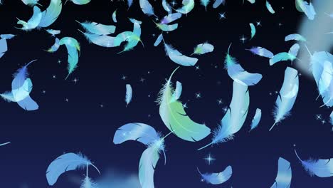 pluma voladora [bucle]
