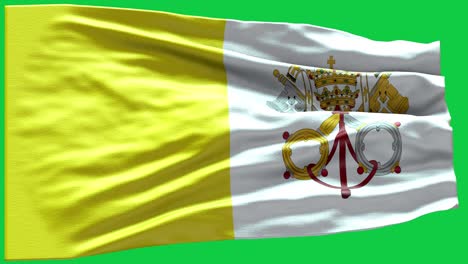4k highly detailed flag of vatican city holy see - vatican city holy see flag high detail - national flag vatican city holy see wave pattern loopable elements