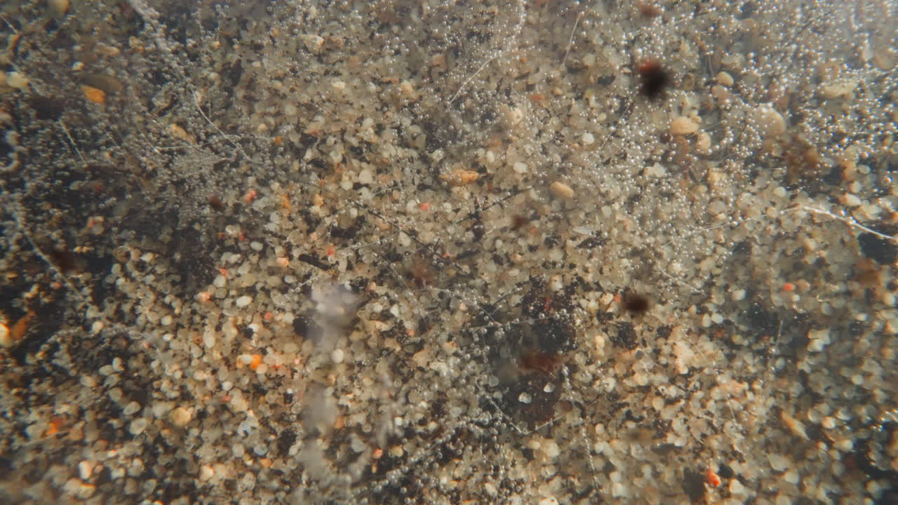 pequeñas piedras de grava blanca caen al fondo del río