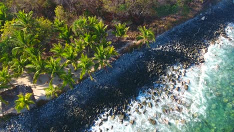 Overhead-Hover-Aerial-of-Palm-Tree-Lined-Coast-with-Clear-Water-Waves-Crashing