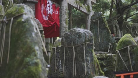 rocas cubiertas de musgo en el santuario fushimi inari en kyoto, japón