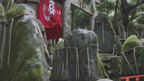 摩斯覆蓋的岩石在日本京都的福島伊納里神社 (fushimi inari shrine)