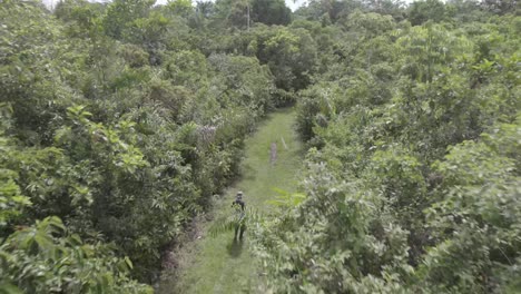 Lone-Person-Walking-On-A-Pathway-In-Dense-Amazon-Rainforest-In-Colombia