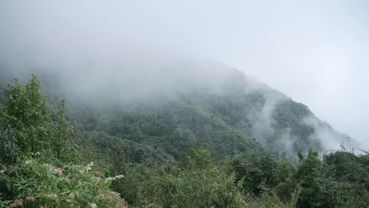 Clouds Moving Through a Valley in Mountain Scenery, Low Lying Clouds Filling a Valley in the Himalayas in Lush Luscious Green Greenery Landscape in Nepal