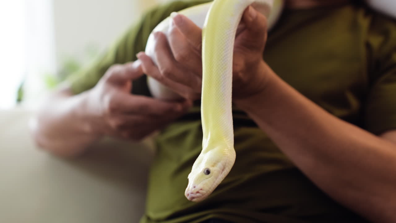 Man holding snake indoors