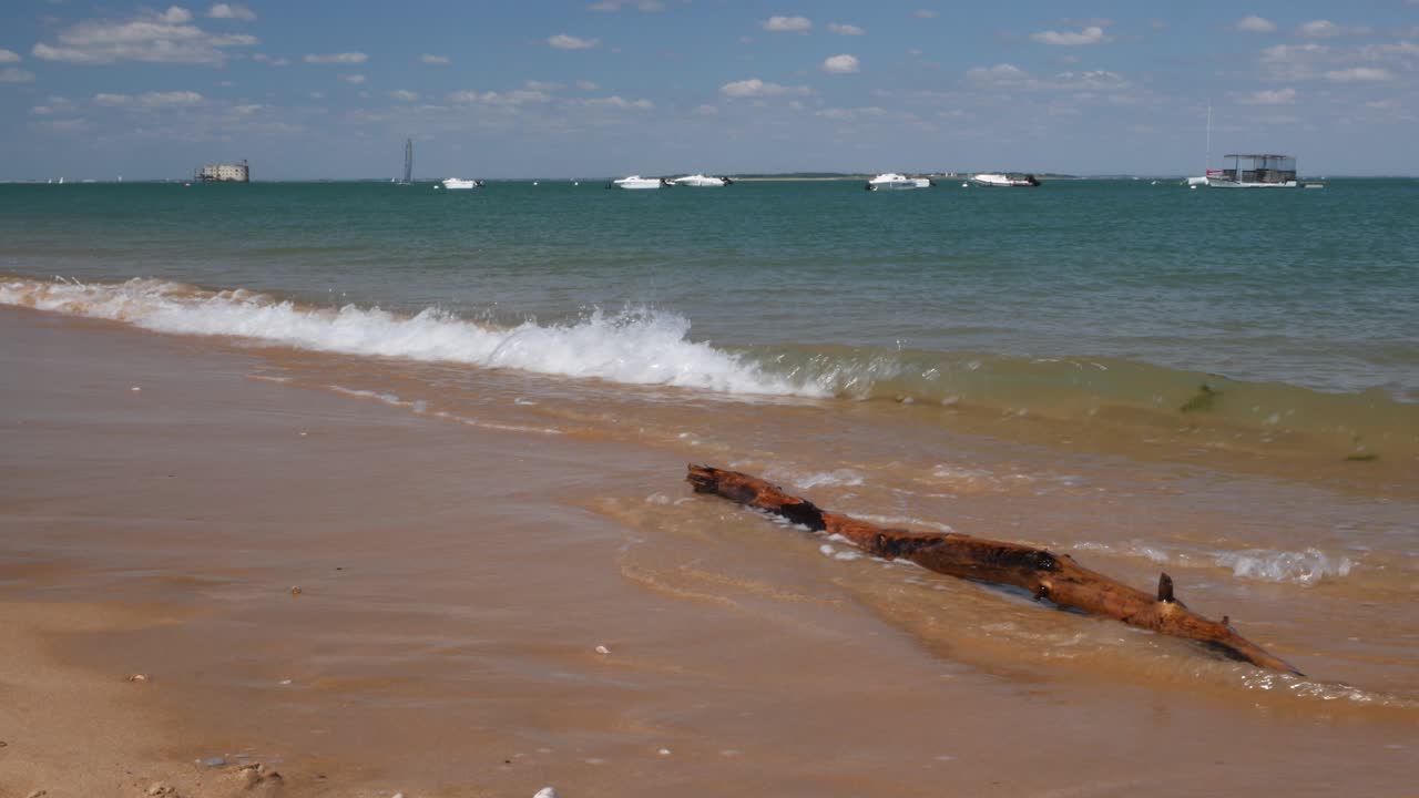 un tronco siendo empujado por las olas en una playa de la isla de oleron frente a fort boyard, francia.