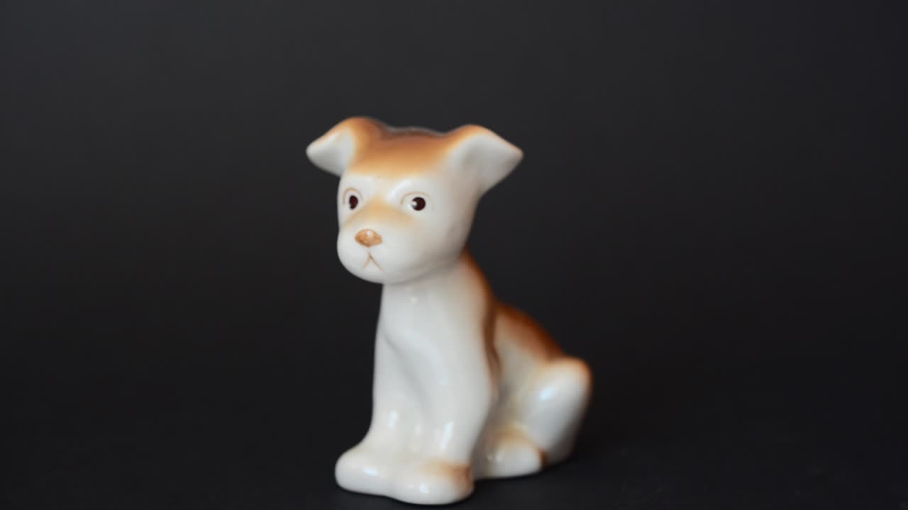 Shooting of a figurine of a dog. Shooting of a figurine