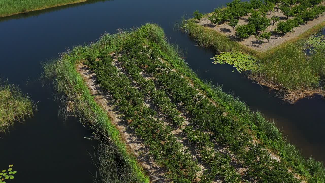 Neretva Valley, flying over Agriculture Plantation Fields in Delta of River Neretva in South Croatia - Aerial Drone View