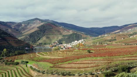 aerial tracking shot of the douro valley outside of porto, portugal in europe