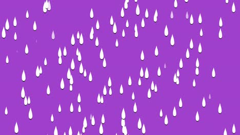 animación de gotas de agua de lluvia gráficos de movimiento sobre fondo púrpura