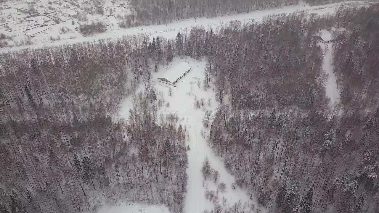 Snowy Forest and Village Aerial View
