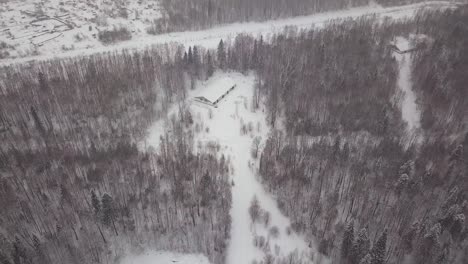 snowy forest and village aerial view