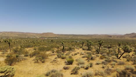 Dolly-Aéreo-En-El-Desierto-De-Joshua-Tree-En-Un-Día-Soleado