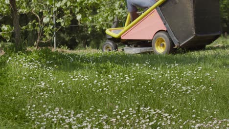 lawn mower tractor cutting grass in local garden