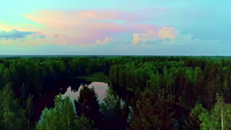 Flying-over-forest-and-mirror-lake