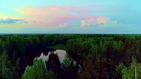 volando sobre el bosque y el lago de espejos