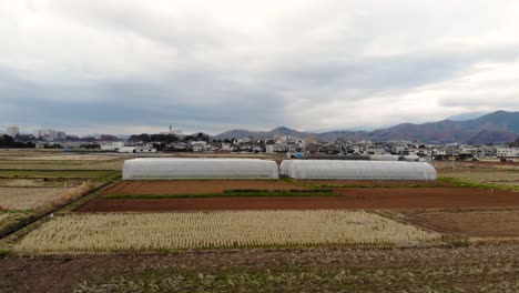 beautiful scenery of rice fields in japan with crops and greenhouse on a cloudy day - aerial rotating shot
