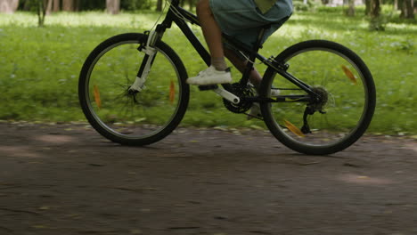 niño montando una bicicleta en un parque