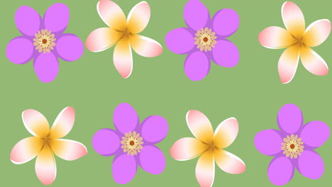 animation of purple flowers spinning on green background