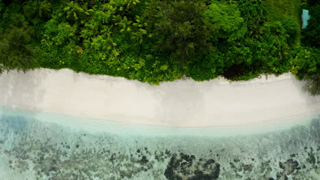 Vista-Aérea-De-Arriba-Hacia-Abajo-De-La-Pintoresca-Playa-Tropical-Desierta-En-Las-Islas-Seychelles