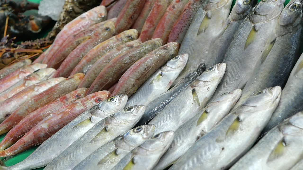 Fresh Fish Displayed at a Seafood Market Counter