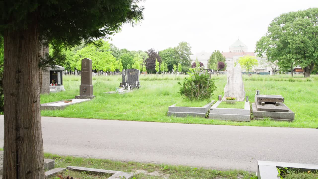 Cimitero Zentralfriedhof, Vienna: passando attraverso i rami di conifere verso lapidi e monumenti in una tranquilla giornata di primavera. Suggestivo parco commemorativo in Austria.