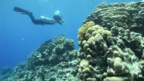 scuba diver diving side mount on a tropical reef