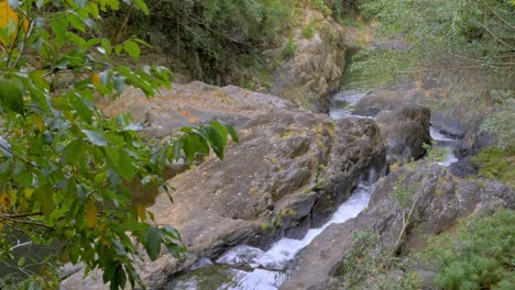 cascada cascada en el arroyo de agua dulce en redlynch valley