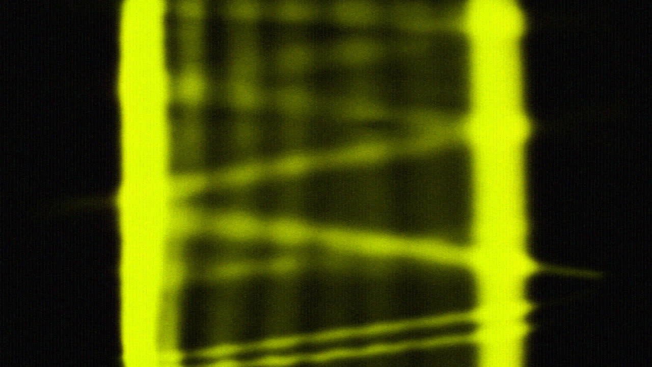 Wetenschapsspectrum 13