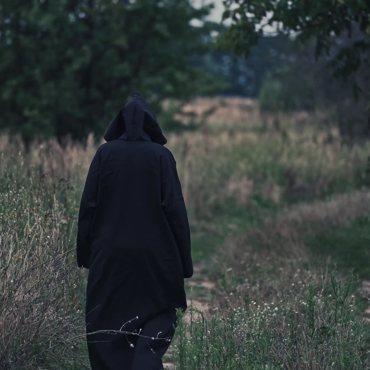 Backside view of witch on the field. Black death goes slowly away along the path on nature background.