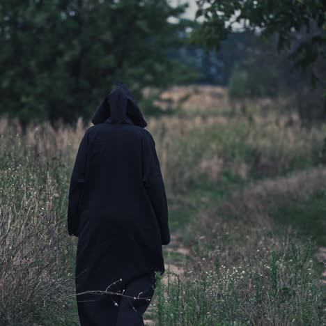 backside view of witch on the field. black death goes slowly away along the path on nature background.