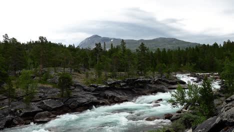 Agua-Corriendo-A-Través-De-Un-Río-En-La-Hermosa-Naturaleza-Del-Norte-De-Noruega