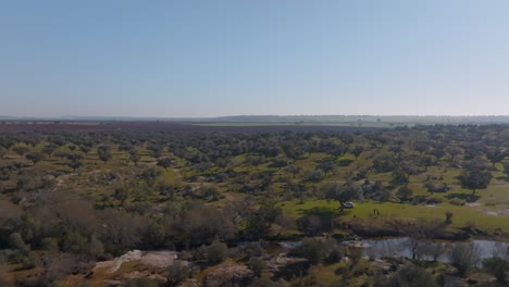 river and wide landscape in dehesa, spain