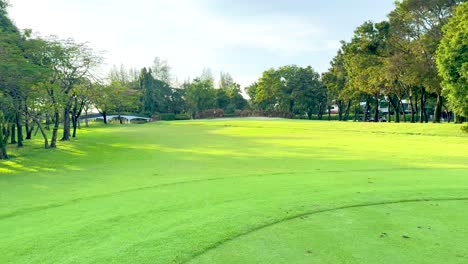 lush green fairway with surrounding trees