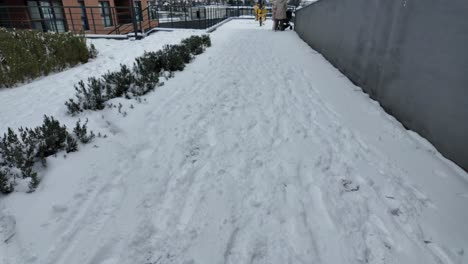 snowy path with footprints