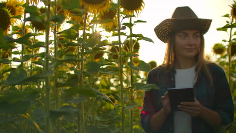 a farmer girl in a straw hat and plaid shirt is walking on a field with a lot of big sunflowers in summer day and writes its properties to her computer for scientific article.