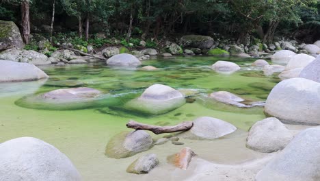 clear creek flows over rocks in lush rainforest. bright lighting highlights vibrant greens and whites, creating a tranquil atmosphere