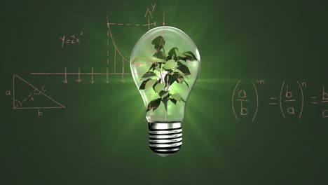 Animation-of-plant-in-bulb-over-mathematical-equations-and-diagrams-against-green-background