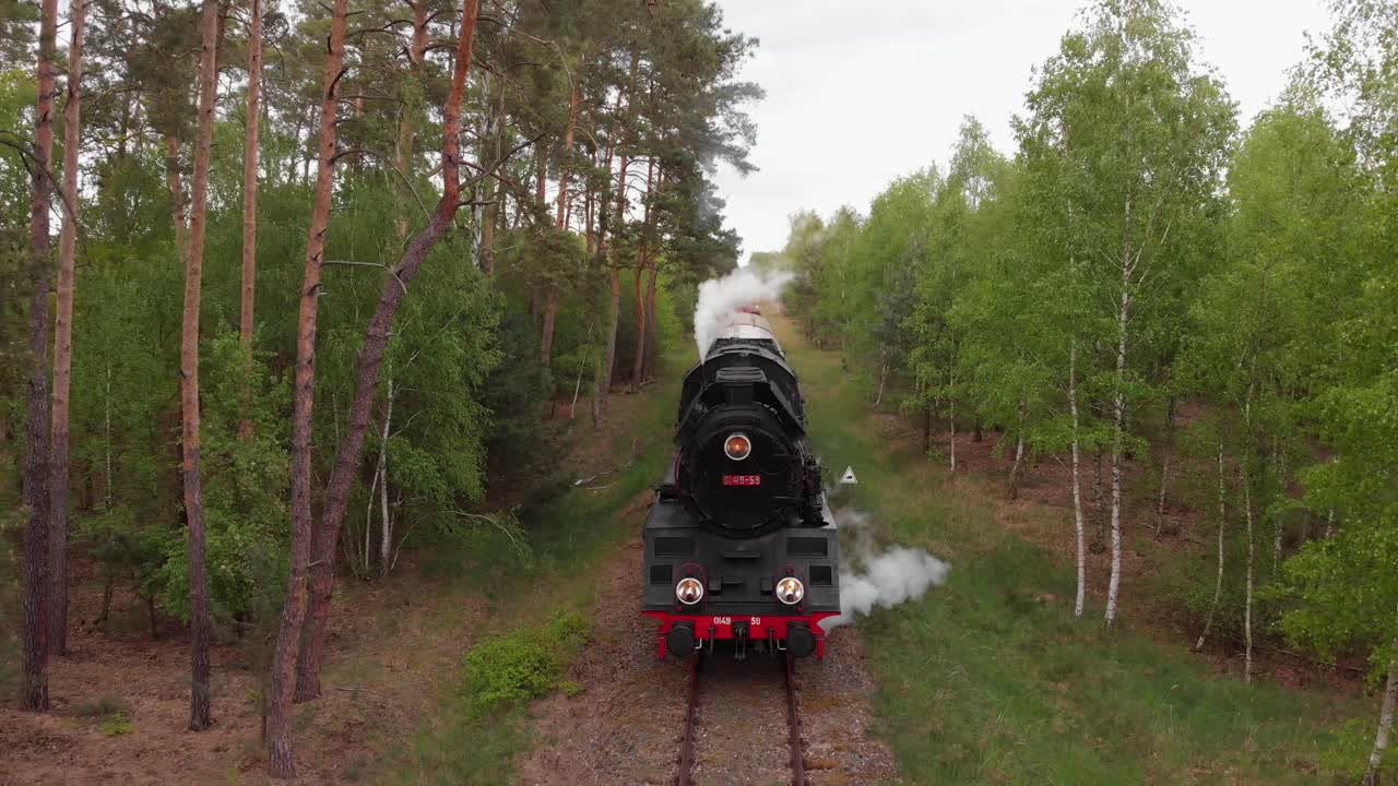 Steam Train Journey Through a Lush Forest