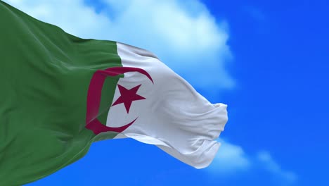 algerian flag.