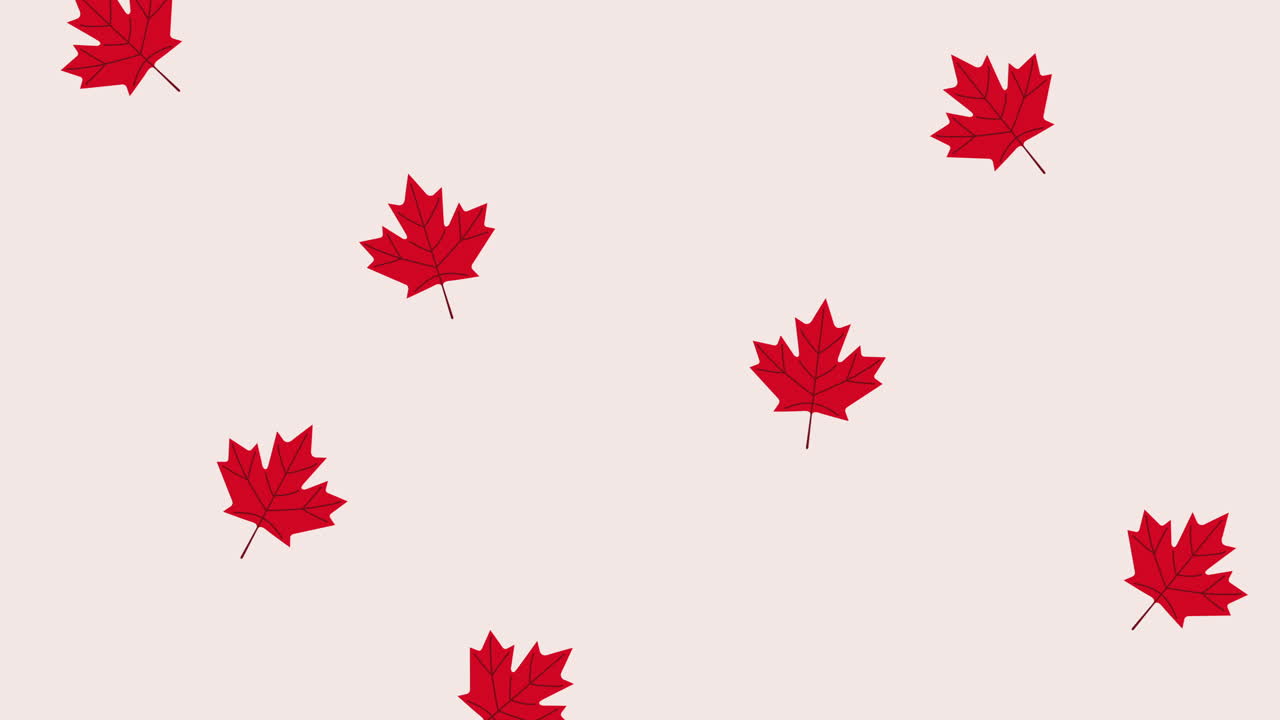 은 메이플 잎 패턴