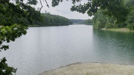 small lake with forest around it and stony shore in the foreground with oak tree, agatalspeere in germany