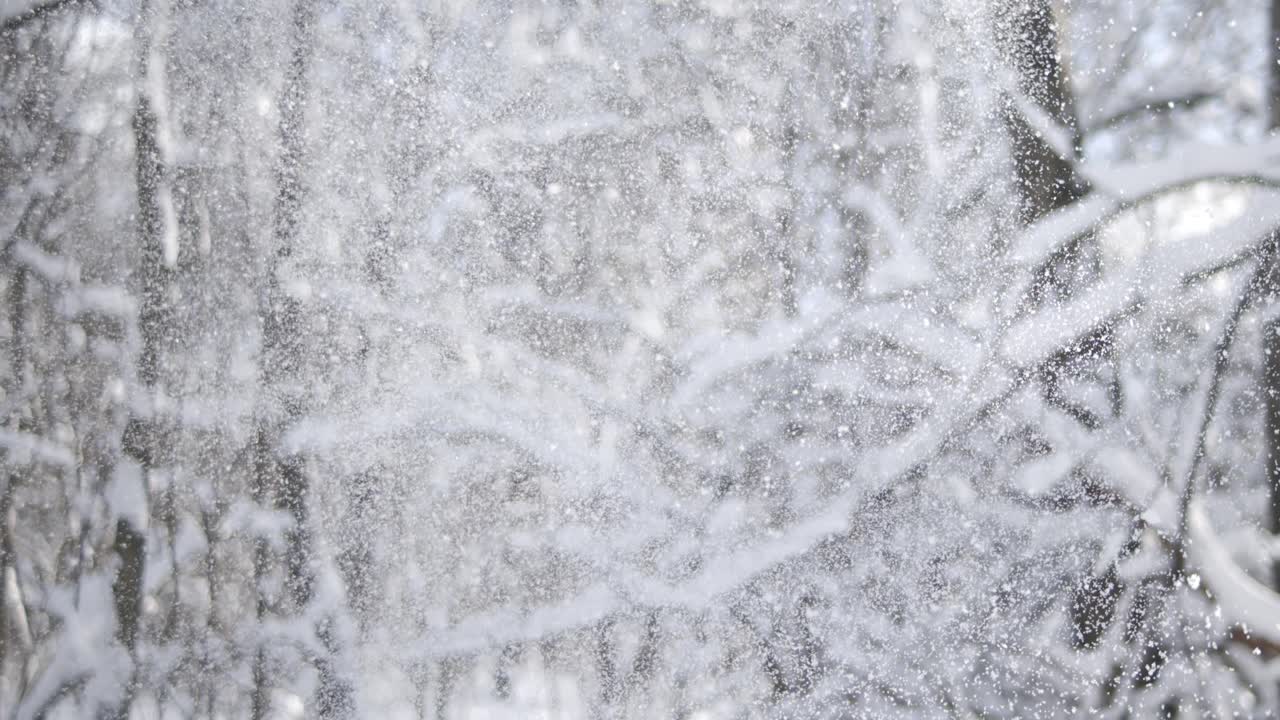 paisaje de invierno durante las nevadas. fondo abstracto de navidad de invierno en súper cámara lenta.
