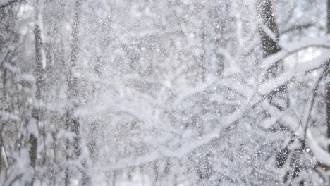 winter landscape during snowfall. winter christmas abstract background on super slow motion.