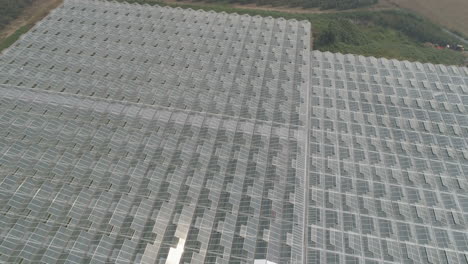 Green-farm-covered-with-rooftop-glass-4k