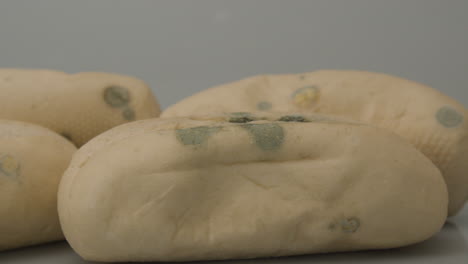 fungal mold spots on several pistolet breads against a white background